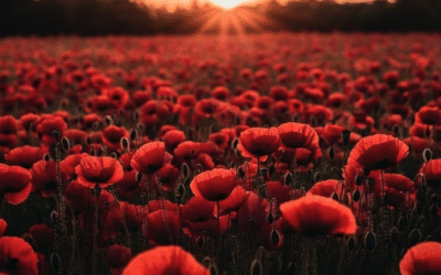 Screenshot 2025-11-10 at 19.36.36